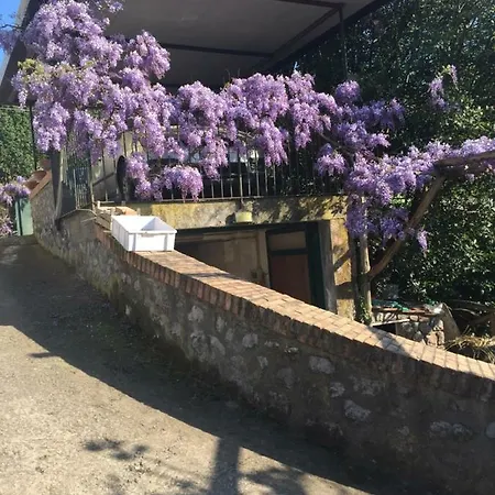 Holiday home Il Glicine